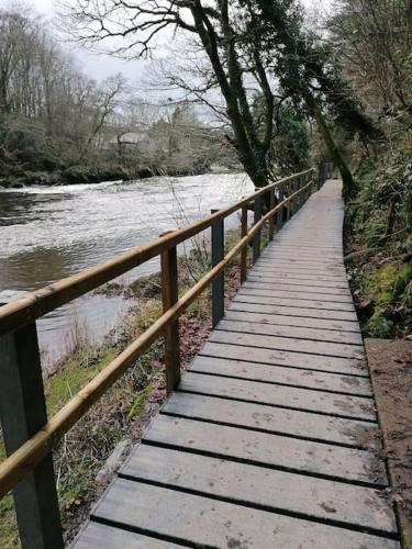 Cottage by the river in Cenarth with seasonal fishing and Wifi in Cenarth