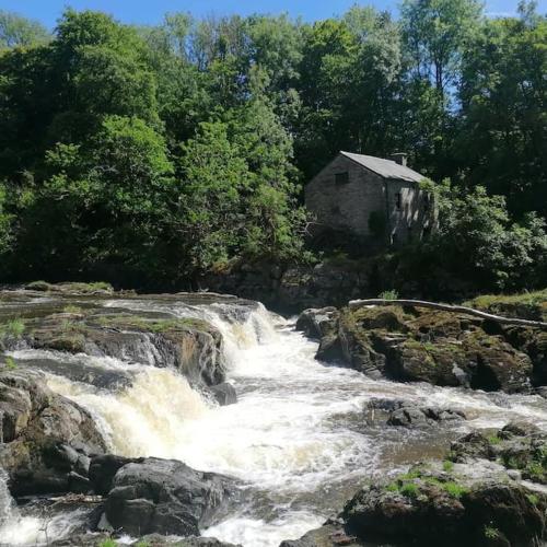Cottage by the river in Cenarth with seasonal fishing and Wifi in Cenarth