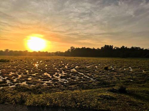 Danial Homestay Ajil Danial Homestay Ajil