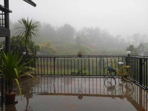 บ้านศรีมีทรัพย์ เขาค้อ, Khao Kho (foto 6)