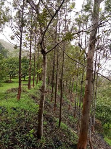 Farm house near trimbak road, nashik MTDC approved