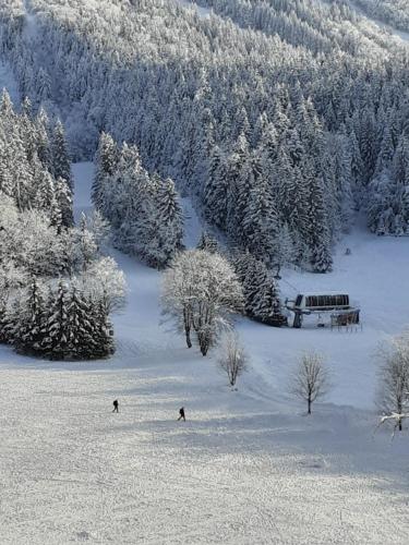 Studio sur les pistes, Villard-de-Lans