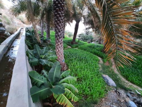 Misfah View in Al Hamra