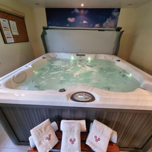 Gite Myosotis 2 personnes avec SPA Jacuzzi , jardin, barbecue, dans la Résidence