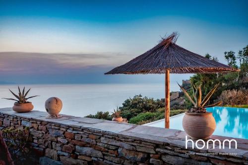 Melissaki homm Villa in Kea Stunning Pool and View