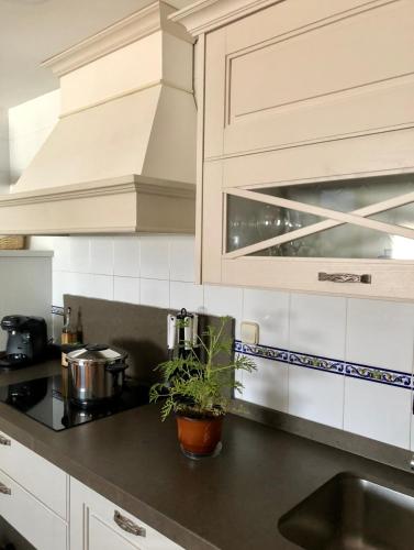  CASA RURAL MANZANEQUE in Manzaneque