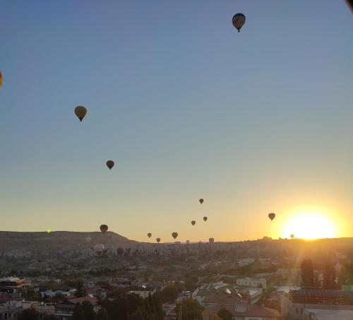 Balloon View Hotel