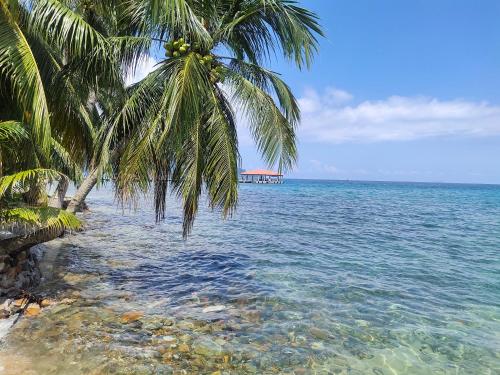 SPC or SP Barakah at ABC Air Batang Village in 甘榜艾爾巴塘/ABC海灘