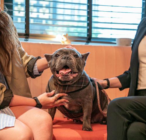 Qbic Hotel London City - image 14