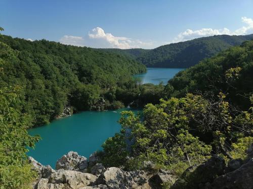  Apartman Jasmin in Čatrnja