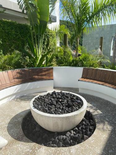 Modern 1 bedroom Avida Condos located in Zona Romantica in Puerto Vallarta, Mexico