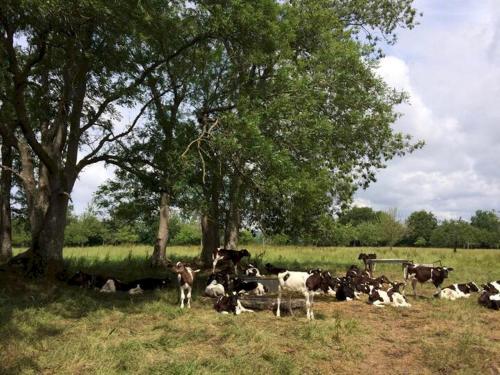 Pass The Keys Goose Feather Barn, Wedmore luxury cottage for two