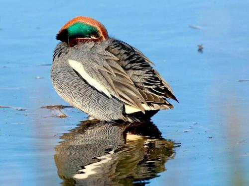 Pass The Keys Goose Feather Barn, Wedmore luxury cottage for two