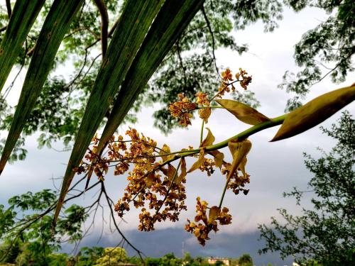 ELDOtown, Eldorado (fotografie 9)