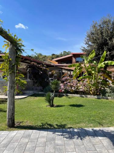 Tenuta calidarius 2