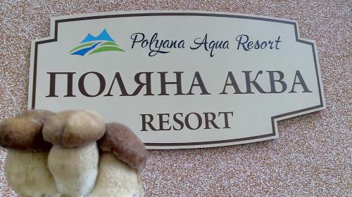 Поляна Аква Резорт, Poljana (fotografie 10)