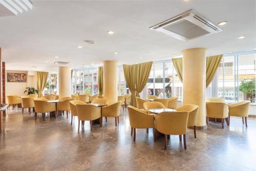 Nordeste Playa - image 8