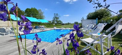 Luxe Vakantievilla - B&B Blue Garden Vlaamse Ardennen nabij Pairi Daiza - Chambre d'hôtes - Grammont