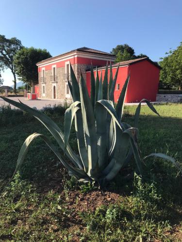 Agriturismo Dipinto Dal Sole in 帕杜拉