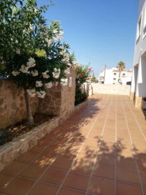 Atlantico Apartments