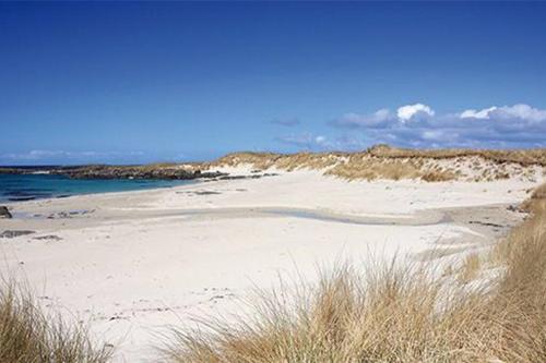 Blue Skies at Camber Sands Holiday Park, Sussex