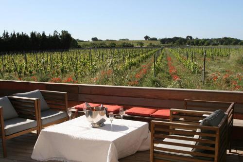 Stunning Villa with Vineyard View in Montpellier gîte à louer Jacou