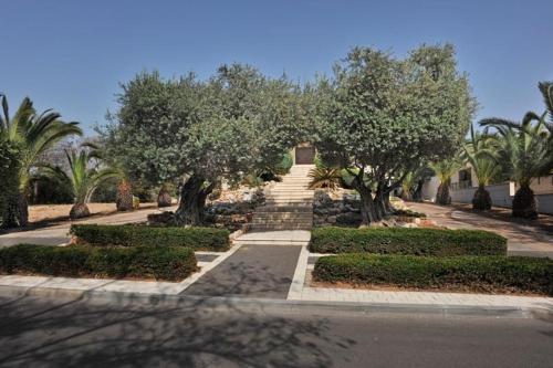 Romantic suite in Caesarea