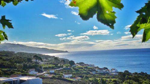 Miradouro da Papalva Guest House - Pico - Azores