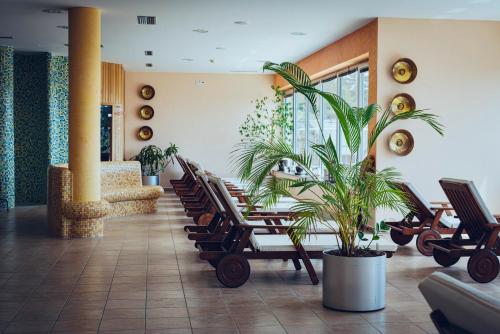 Forest Hotel Videc - image 10