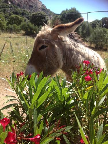 Agriturismo La Casa delle Fate