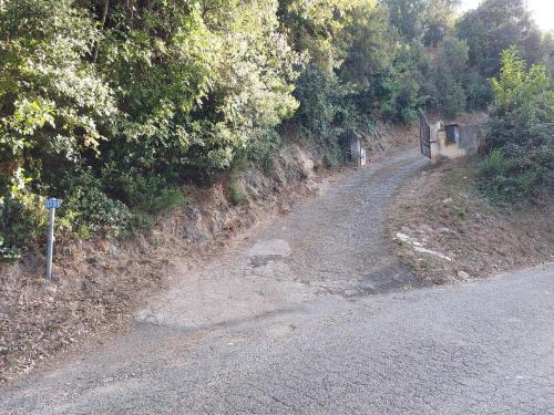 Ribellu, Bastia (fotografie 2)