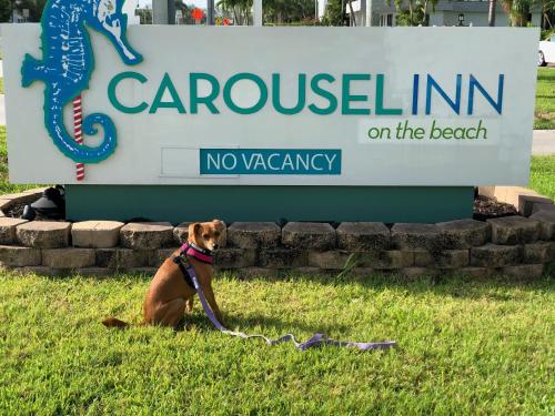 Carousel Beach Inn - image 13