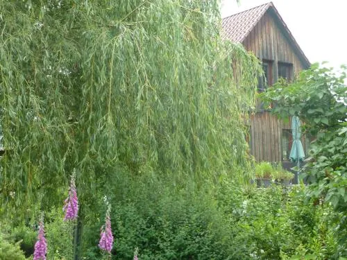 Ferienwohnung Lotti in Brotterode, Deutschland