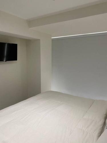 Apartamento San Isidro /Zona Centrica financiera