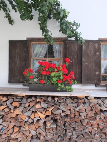 Bauernhaus Ramona in Holzgau