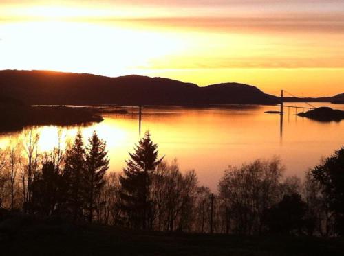 Skats, Holten Seafishing in Torvikbukt