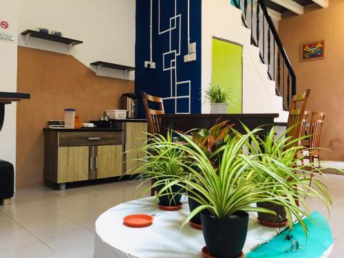 Travellers Diary Guesthouse in Malacca