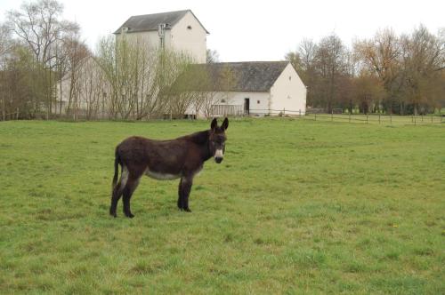 Le Moulin Neuf photo 22
