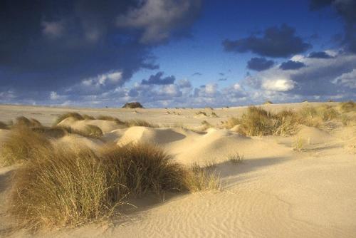 Ara Dune Hotel