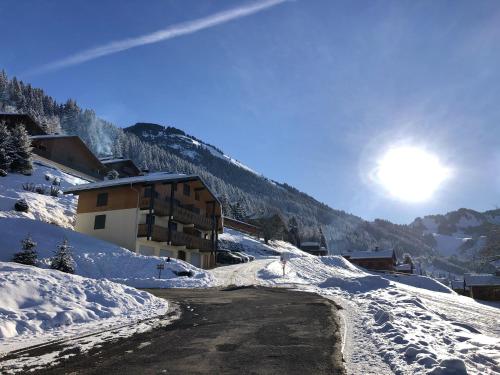 Appartement de 2 chambres a Chatel a 250 m des pistes avec terrasse amenagee et wifi - Location saisonnière - Châtel