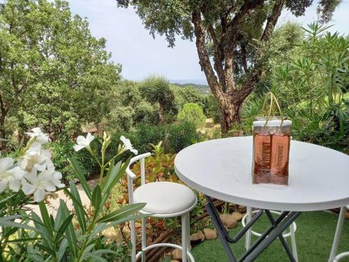 Charmant T2 de 34m2 en Résidence de standing à Grimaud - Piscines - Jardinet - Plein coeur du Golfe de St Tropez- Pleine nature - Location saisonnière - Grimaud