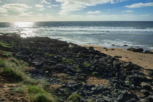 Dolphin Watch Wild Atlantic Way