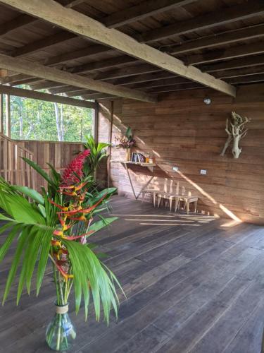 Paraiso Escondido in Bahia Solano (Choco)