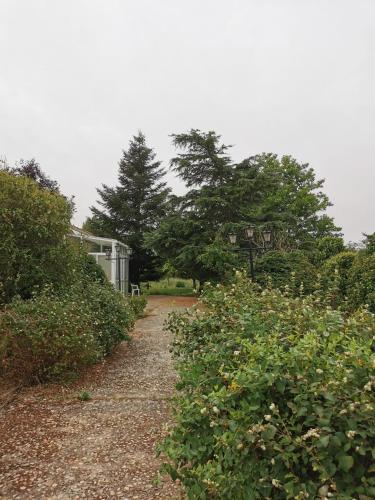 Casa chalet en el campo