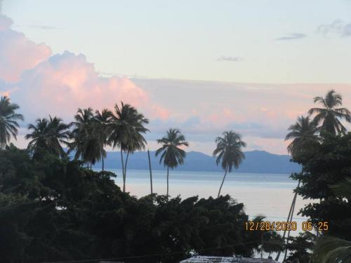 . Pelicano Tropical Paraiso Samana