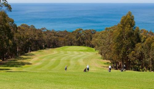 Lorne Groovy Ocean View Log House, Pet Friendly, FREE WIFI wine & chocolates kangaroos in the evening