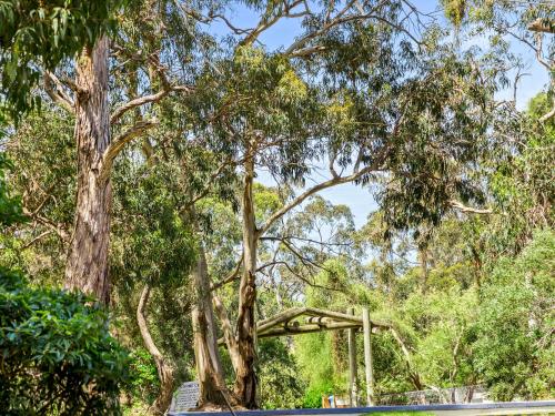 Lorne Groovy Ocean View Log House, Pet Friendly, FREE WIFI wine & chocolates kangaroos in the evening