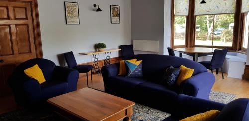 Közös társalgó / TV, Spring Creek Holiday Park in Blenheim Városközpont