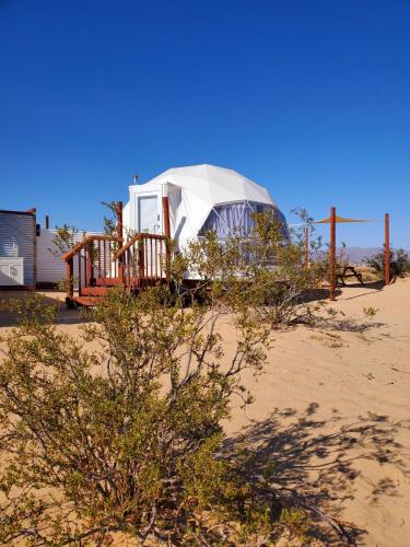 The Kosmic Tortoise in Twentynine Palms, USA