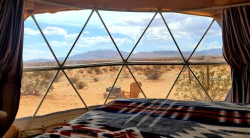 The Kosmic Tortoise in Twentynine Palms, USA